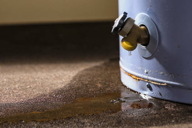 Best Sewage cleanup and water damage restoration  in New Market, VA