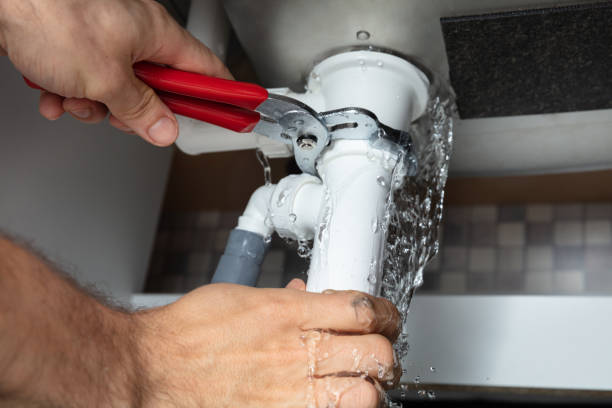 Best Carpet water damage restoration  in New Market, VA