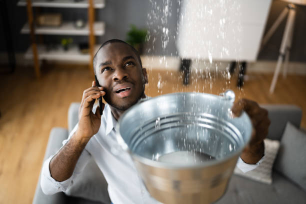 Best Water damage contractors near me  in New Market, VA