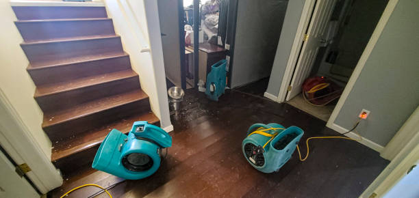 Best Local water damage restoration  in New Market, VA