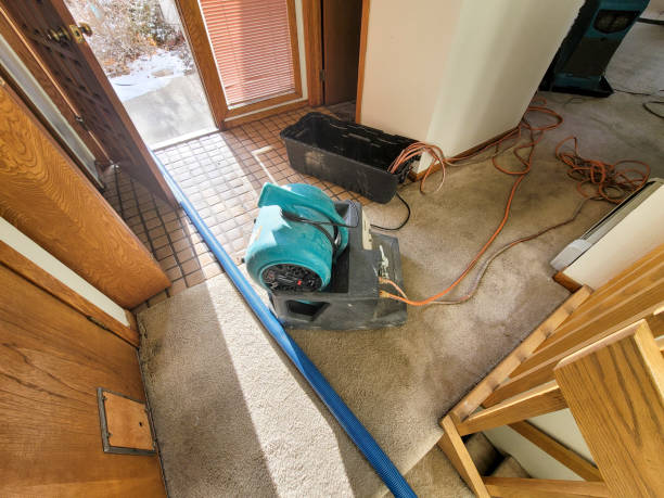 Best 24/7 water damage repair  in New Market, VA