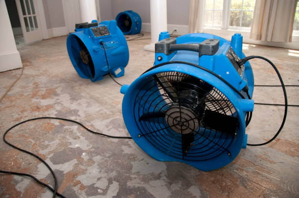 Best Water damage mitigation services  in New Market, VA