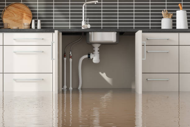 Best Water damage restoration insurance claims  in New Market, VA