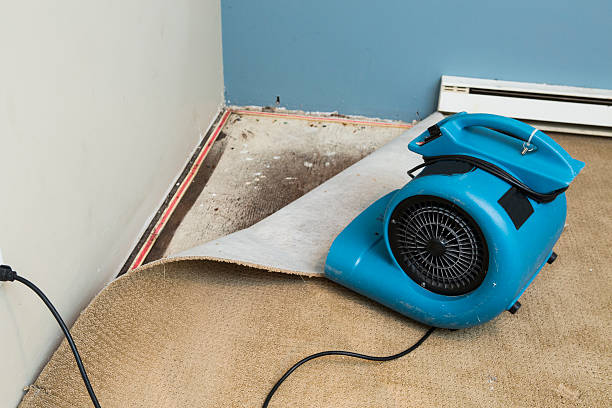 Best Sewage cleanup and water damage restoration  in New Market, VA